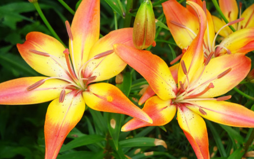 702079 (a): :2560x1600